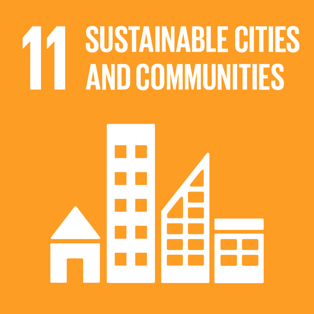 SDG 11